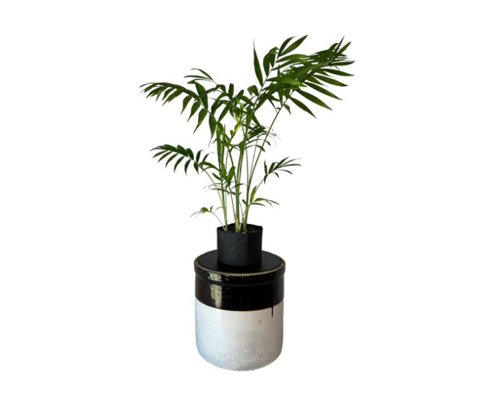 Vintage Two-Toned Stoneware Crock Planter with Elegant Parlor Palm