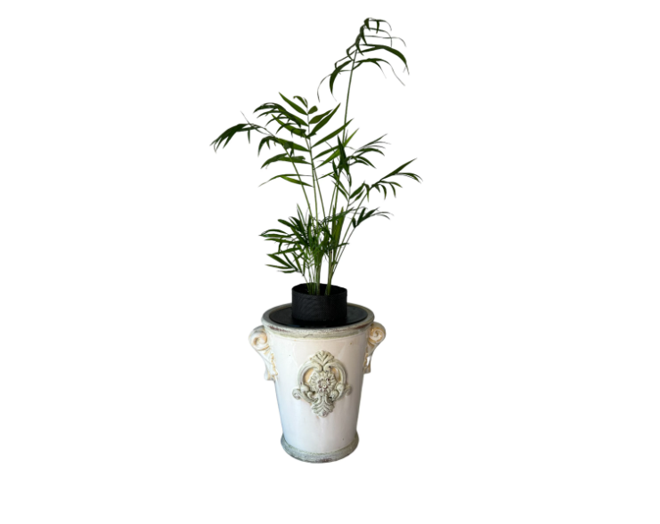 Upcycled Vintage Planter with Parlor Palm Plant