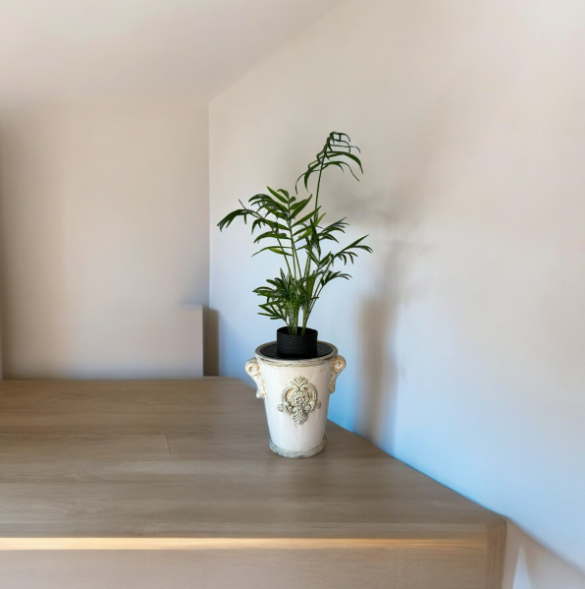 Upcycled Vintage Planter with Parlor Palm Plant