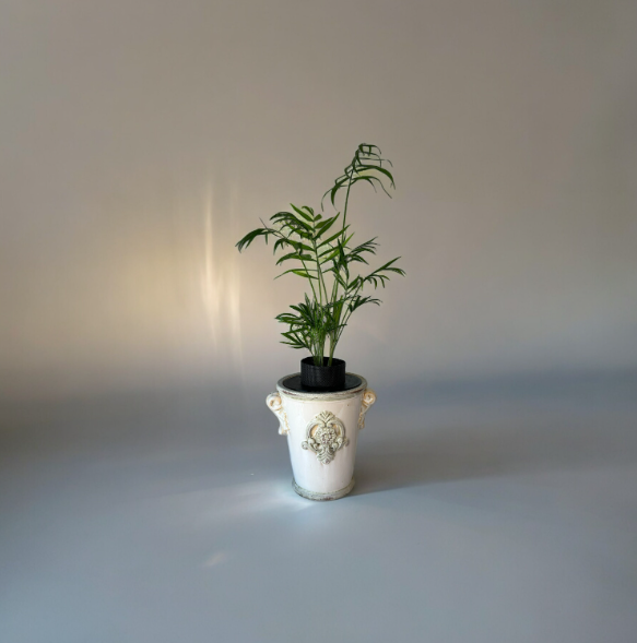 Upcycled Vintage Planter with Parlor Palm Plant