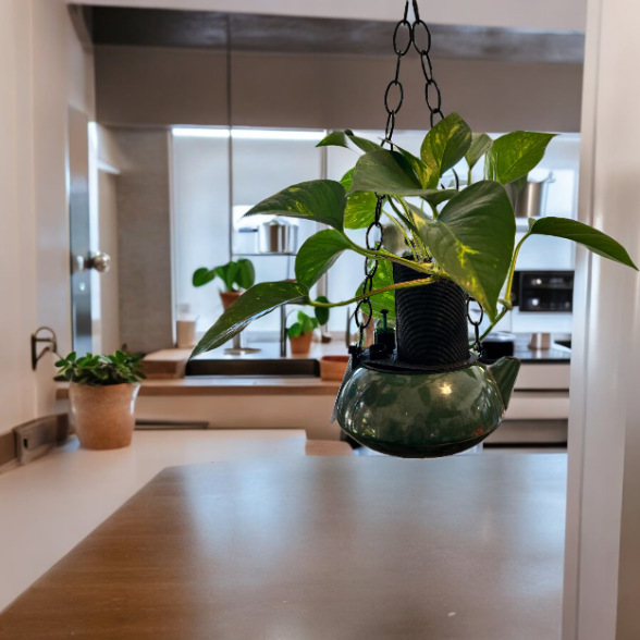 Emerald Green Hanging Coffee Pot Planter with Golden Pothos Plant