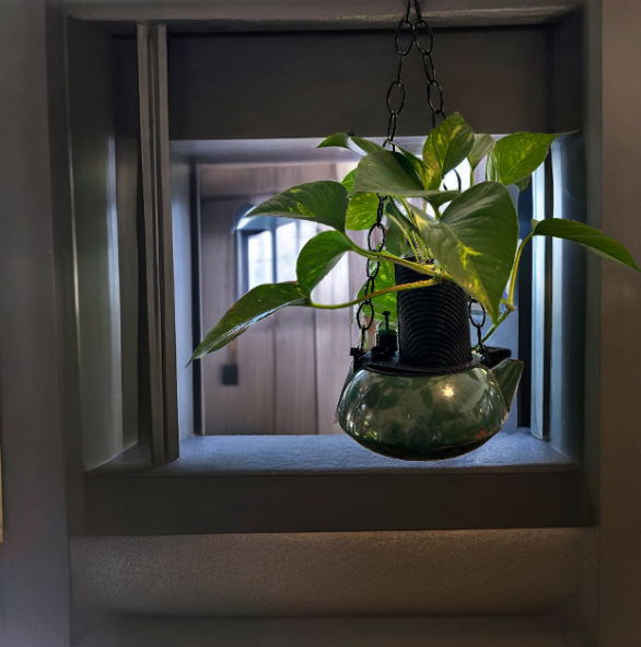 Emerald Green Hanging Coffee Pot Planter with Golden Pothos Plant