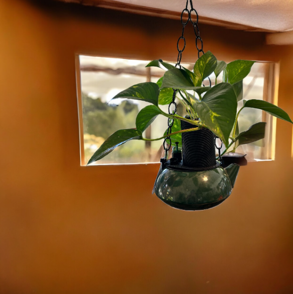Emerald Green Hanging Coffee Pot Planter with Golden Pothos Plant