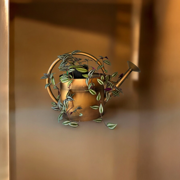 Loop Style Watering Copper Finish Can Planter with Tradescantia Plant