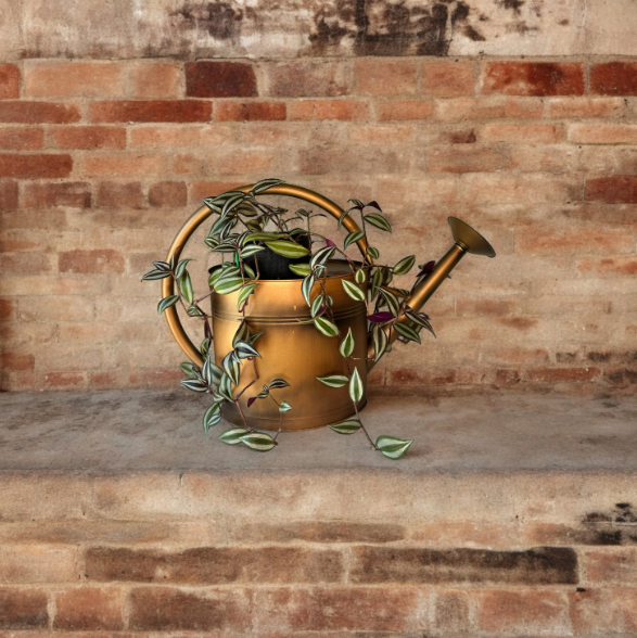 Loop Style Watering Copper Finish Can Planter with Tradescantia Plant