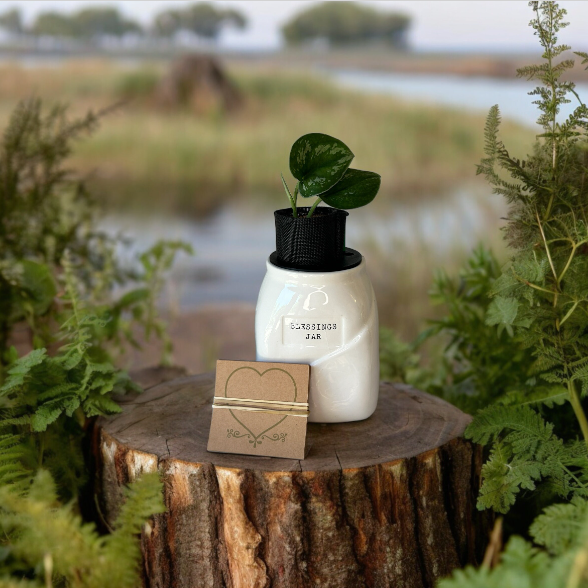 Blessings Jar Planter with Scindapsus Plant
