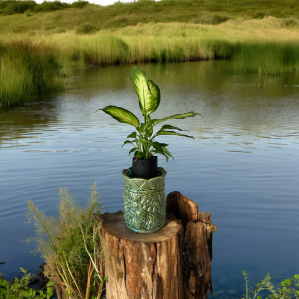 Andrea Sadak Jay Willfred Green Canister Planter with Dieffenbachia Plant