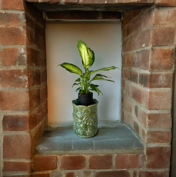 Andrea Sadak Jay Willfred Green Canister Planter with Dieffenbachia Plant