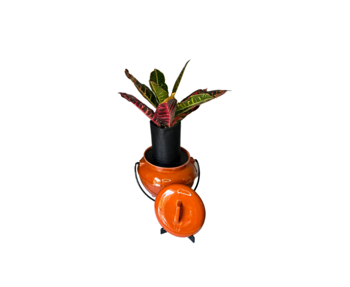 Vintage California Pottery 702 Rust Orange Bean Pot Planter with Croton Plant