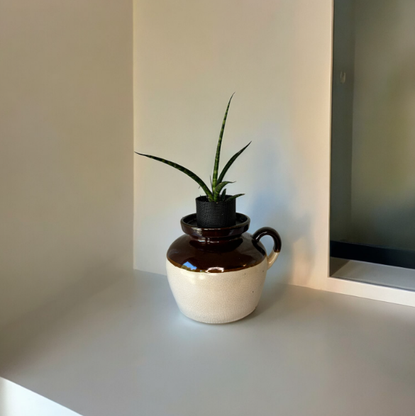 Vintage Roseville Brown & Tan Stoneware Bean Crock Planter with Snake Plant