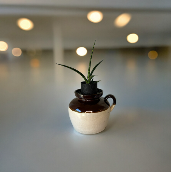 Vintage Roseville Brown & Tan Stoneware Bean Crock Planter with Snake Plant