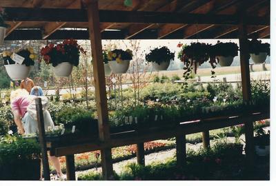 Jaworski Landscape and Nursery, Retail Plant Sales, Osceola Indiana 